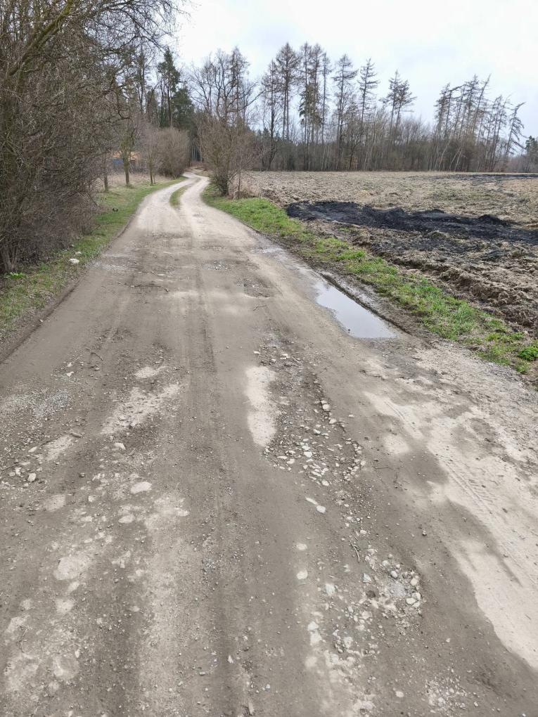 plakát
